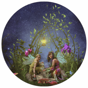 2 Elfen auf der Blumenwiese bei Nacht
