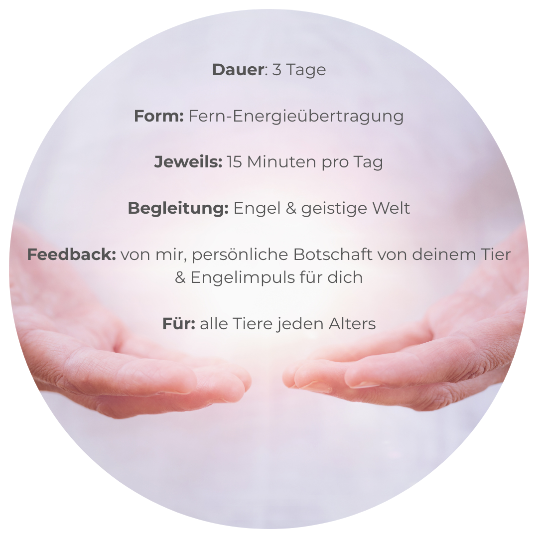 offene Hände aus denen Licht nach oben fließt. Alle Fakten des Angebotes im Überblick