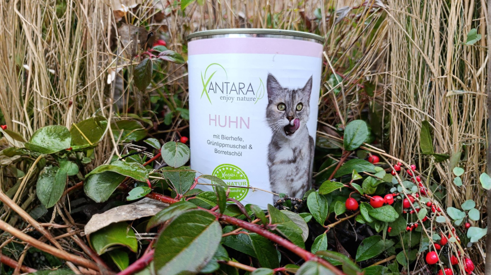 Nassfutterdose für Katzen